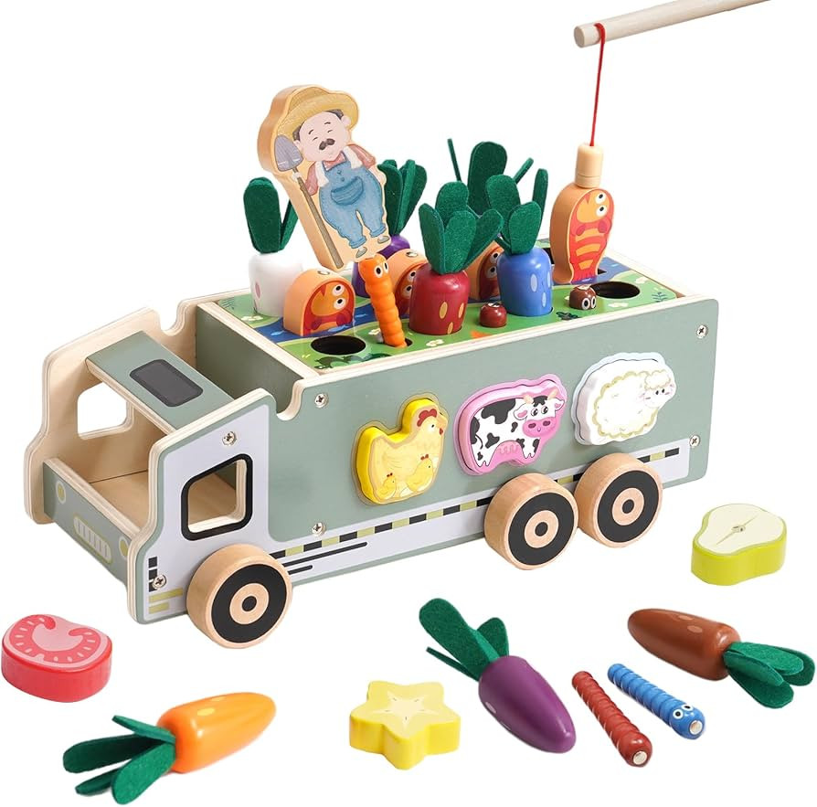 Toddlers Montessori Wooden Educational Toys for Boys Girls Shape Sorting Toys Gifts for Kids 2-4 ... | Amazon (US)