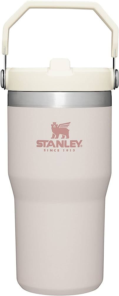 STANLEY IceFlow Stainless Steel Tumbler with Straw, Vacuum Insulated Water Bottle for Home, Offic... | Amazon (US)