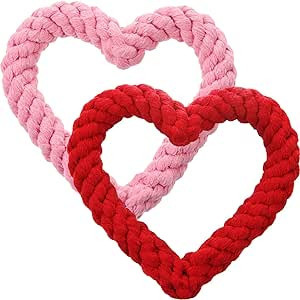 Mudder 2 Pieces Valentine's Day Heart Shaped Rope Dog Chew Toys Pet Toys for Valentine's Day Dog ... | Amazon (US)