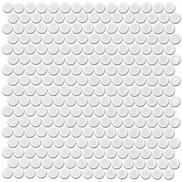 Bliss 0.75" x 0.75" Ceramic Penny Round Mosaic Wall & Floor Tile | Wayfair North America