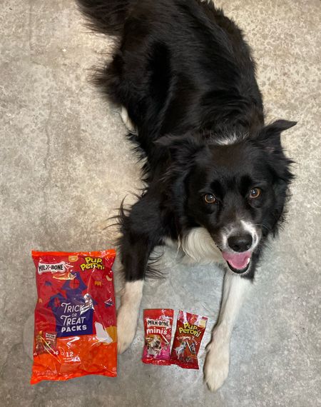 Everyone always asks me questions about the mini bags of treats I carry with me for Remus. These dog treats are around for a limited time, and we just restocked! They’re 30% off right now, so it’s a great time to stock up!
#ltkpets #ltkpet #dogtreats #dogmom #minitreats #halloweendog #halloweendogs

#LTKsalealert #LTKHoliday #LTKHalloween