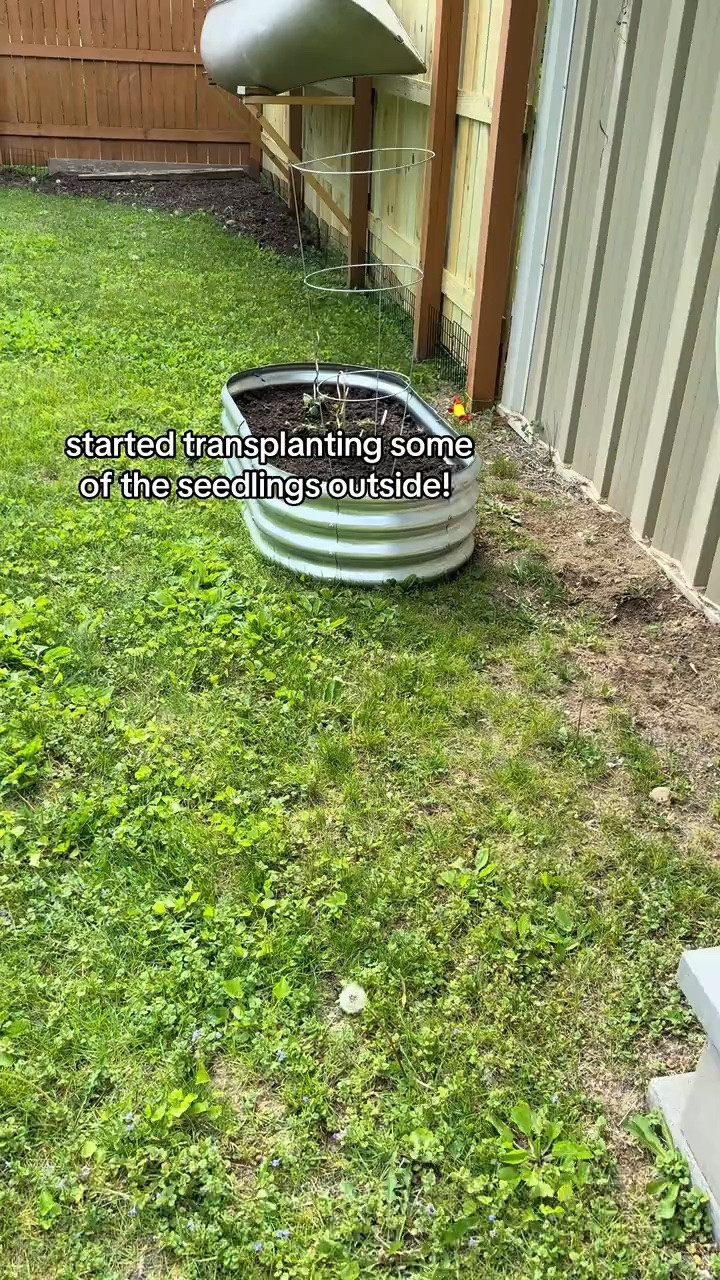 Last summer we were so busy with house renovations and wedding planning that I didn’t get to start a garden. So this summer I’m going all in! Here’s to hoping it turns out alright! 🌱🌷
#gardening #vegetablegarden #flowergarden #cutflowergarden #beginnergardener

#LTKdayinmylife #LTKSeasonal