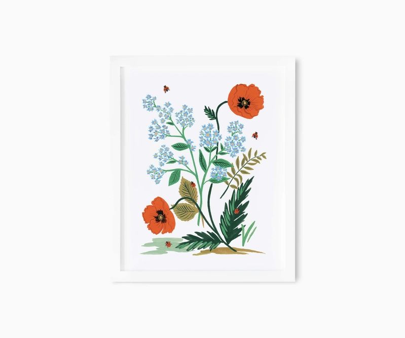 Iceland Poppy Art Print | Rifle Paper Co.