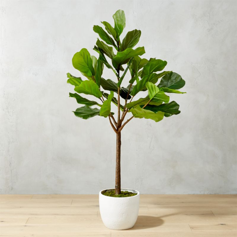 65" Potted Faux Fiddle Leaf Fig + Reviews | CB2 | CB2