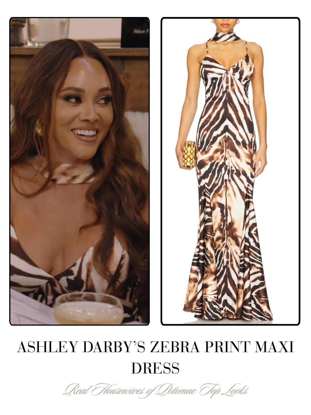 Ashley Darby’s Zebra Print Maxi Dress