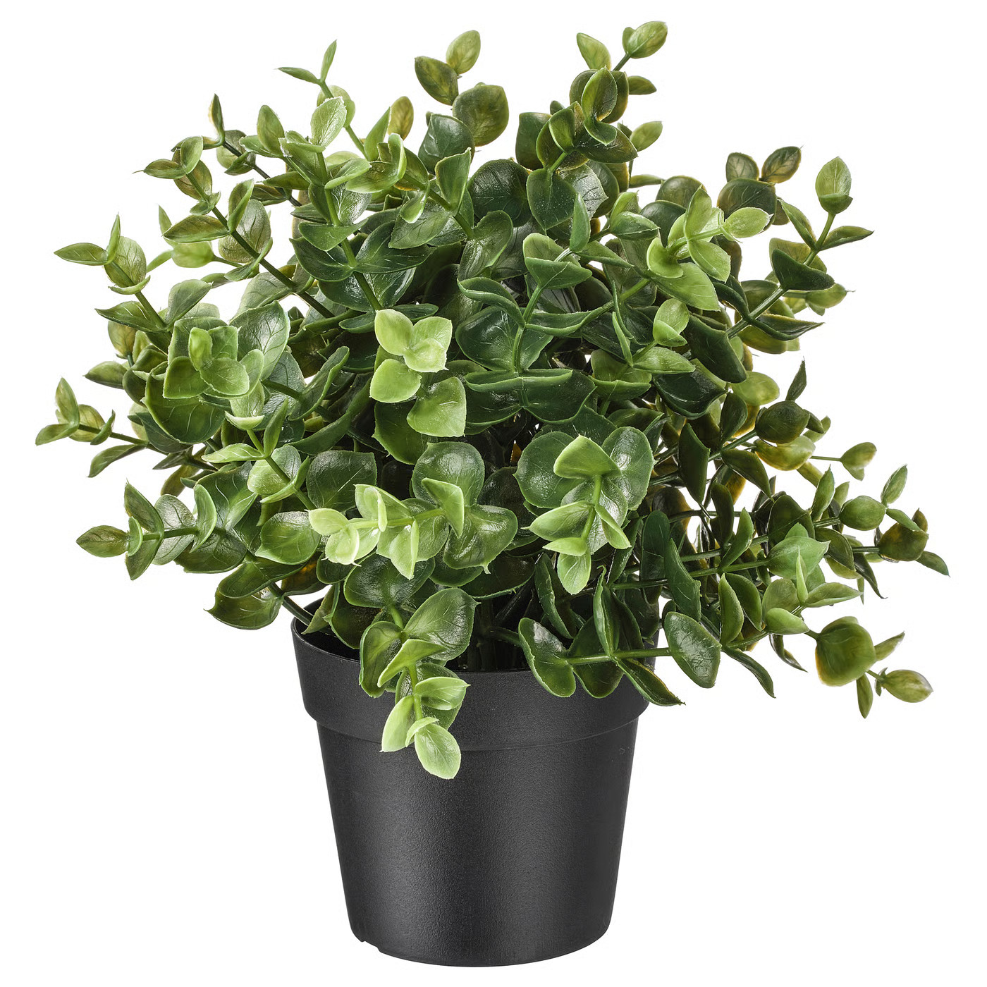 FEJKA Topfpflanze, künstlich, Oregano , 9 cm - IKEA Deutschland | IKEA (DE)