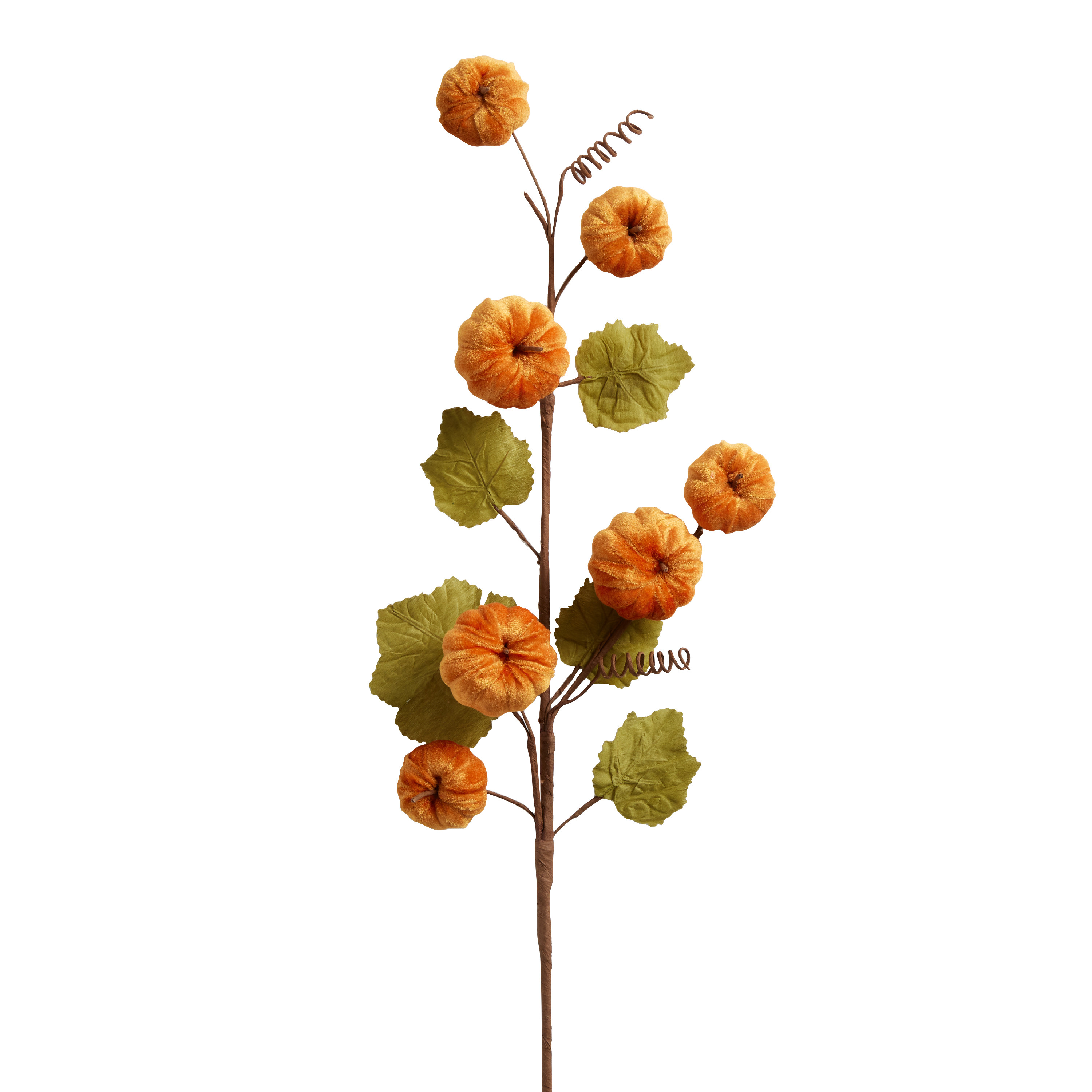 Faux Velvet Pumpkin Stem | World Market