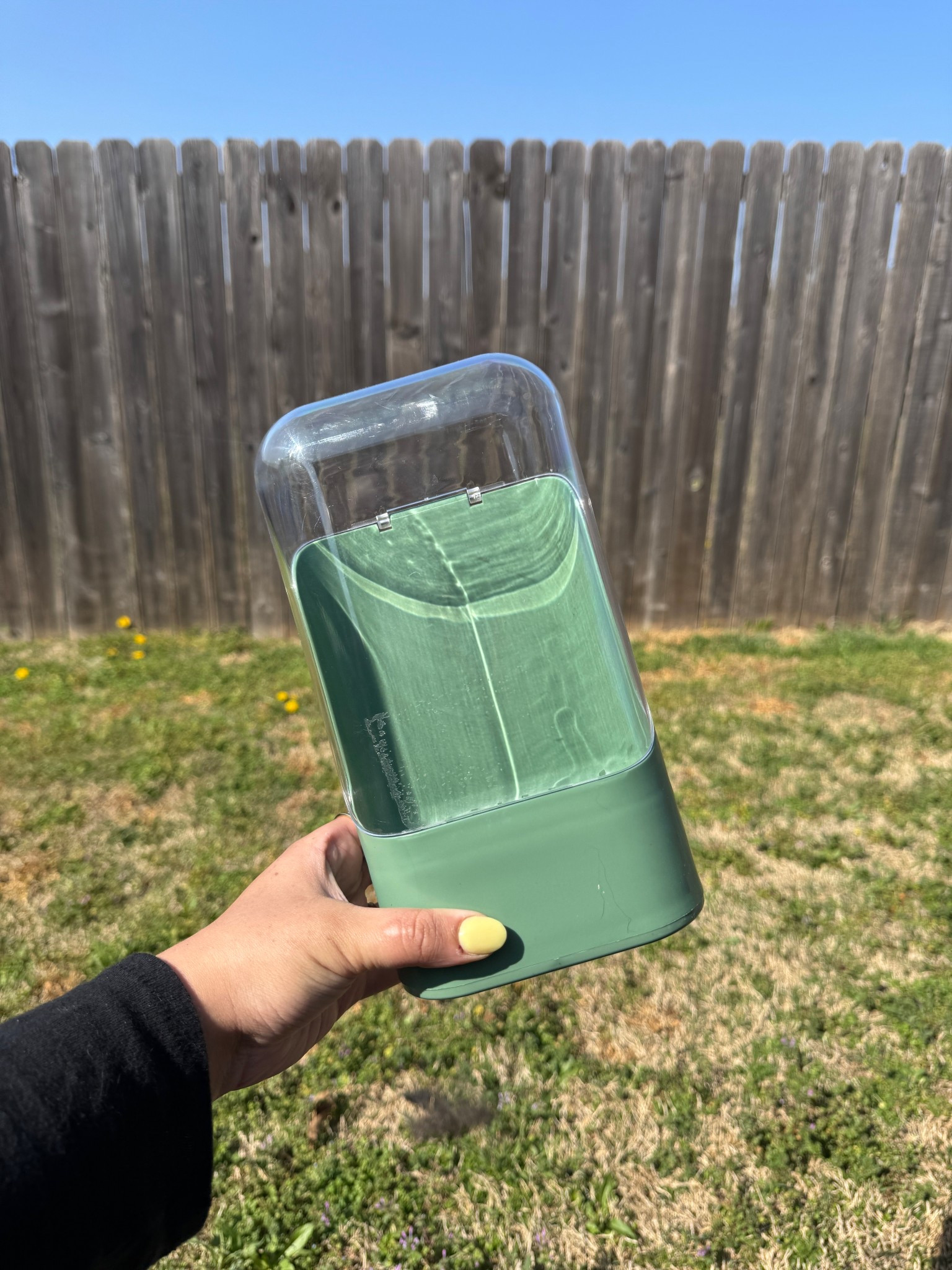 new herb storage container for my dill, parsley, and cilantro!! 🌿

#LTKSeasonal