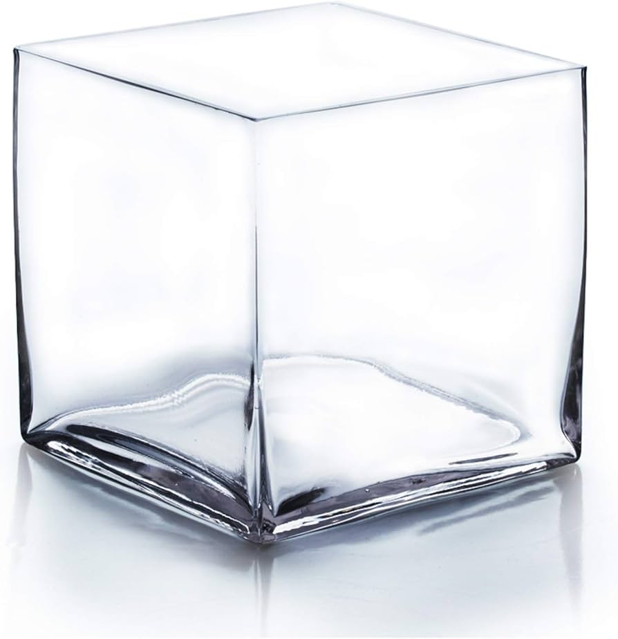WGV Cube Glass Vase, Candle Holder, 8"x8"x8", Clear Elegant Floral Accent Container Planter Terra... | Amazon (US)