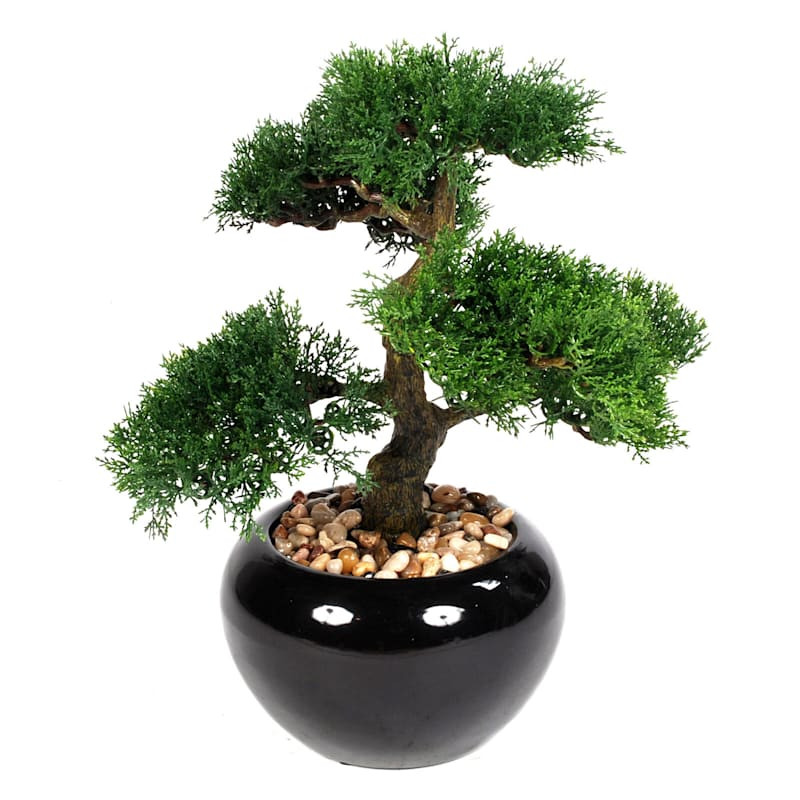 Bonsai Tree Plant with Black Ceramic Planter, 14.5" | At Home