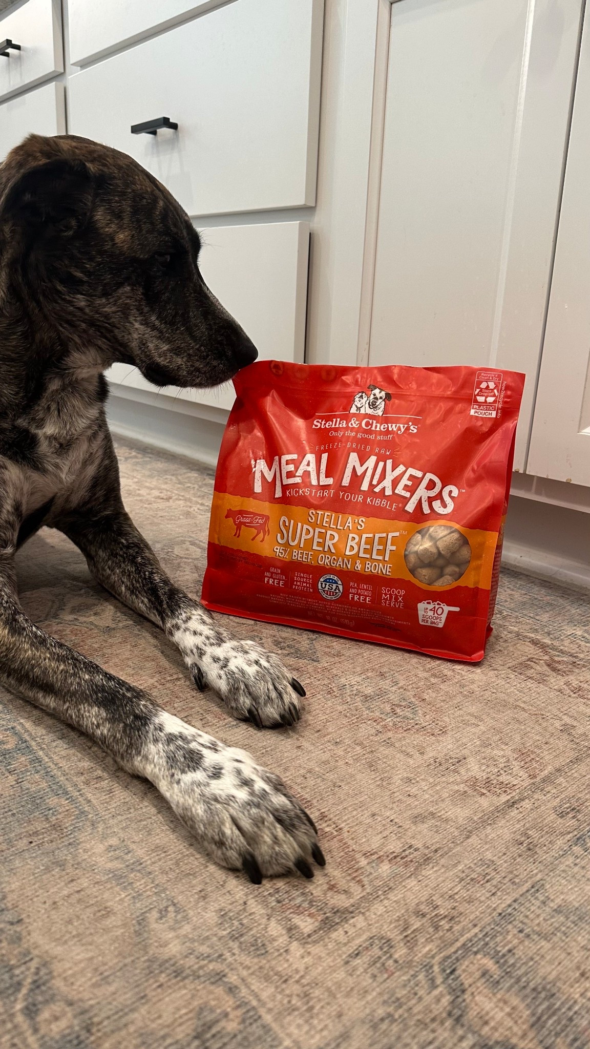 #ad | grab Olive’s favorite Stella & Chewy’s Freeze-Dried Raw Protein at Target! helps her finish her whole meal and get added protein and nutrients for better digestion, energy and a shinier coat!

@Target @Stellaandchewys #target #targetpartner #stellaandchewys #stellaattarget

#LTKFindsUnder50