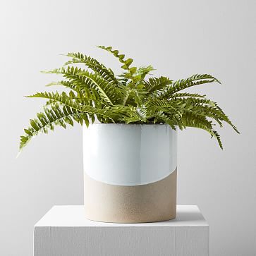 Faux Potted Green Fern Plant | West Elm (US)