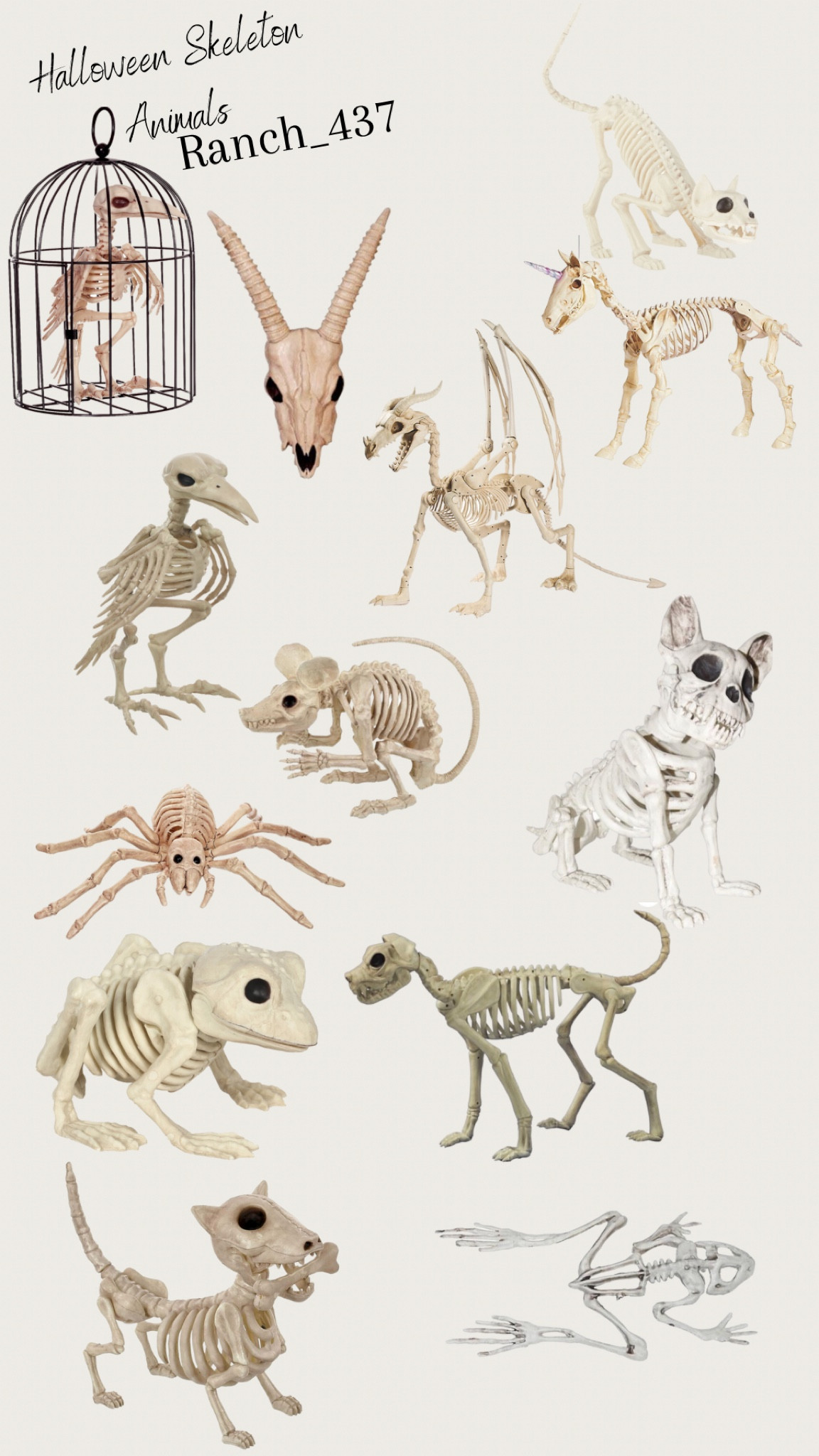 Halloween animal skeletons 

Halloween decor, skeleton decor, holiday decor, outdoor decor, Walmart finds

#LTKSeasonal #LTKhome