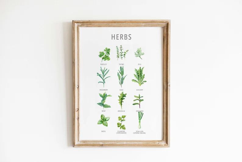 Garden Herb Print, Kitchen Herbs Guide, Cooking Herbs Poster, Botanical Herbs Print, Kitchen & Di... | Etsy (UK)