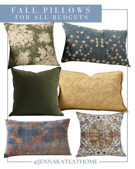 Add these to fall throw pillows for any budget to your home decor living room or bedroom this season.  floral throw pillows. 

#LTKSeasonal #LTKhome
