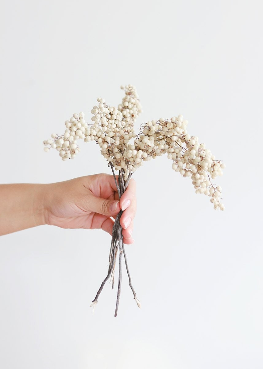 Preserved Pepperberry in Ivory | Afloral (US)