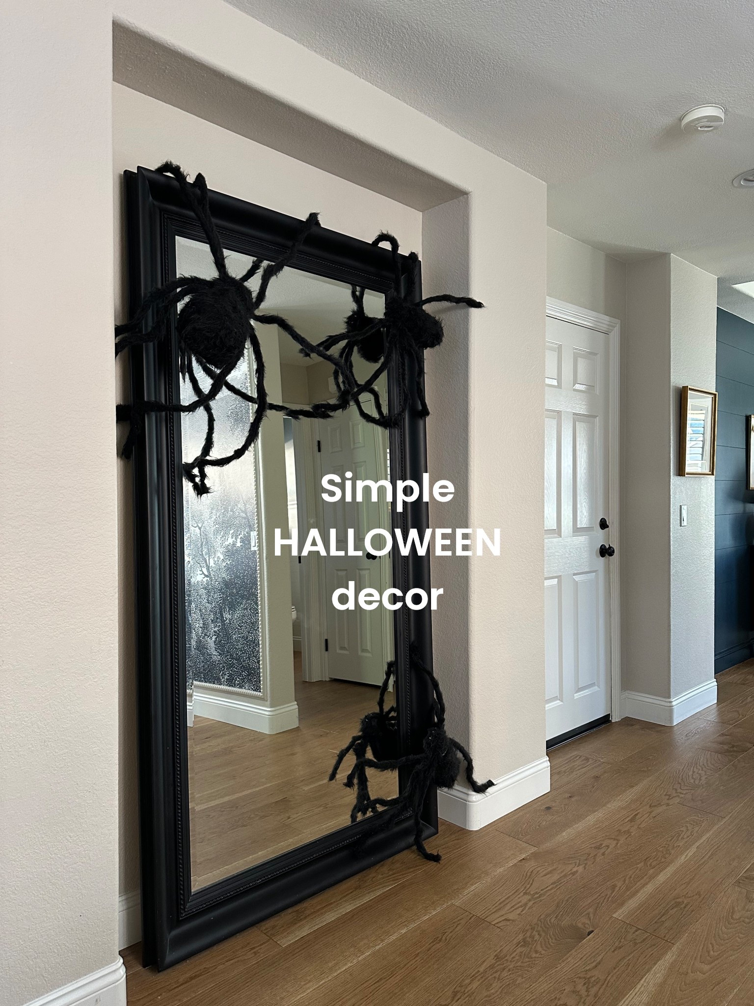 Creepy, crawly spiders for indoor or outdoor Halloween decor

Halloween decor from Amazon 

#LTKHalloween #LTKFindsUnder50 #LTKHome