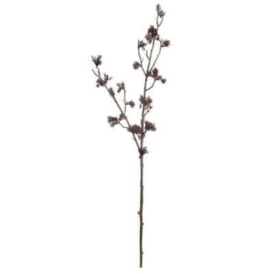 Ashland 39" Brown Moss Branch Stem Fall Floral for Crafts and HomeDecor | Amazon (US)