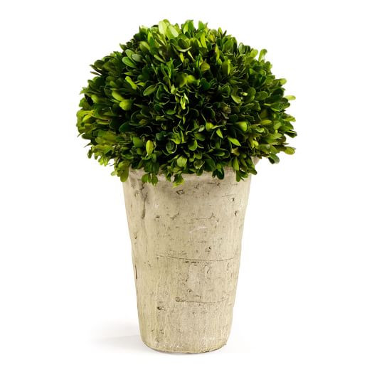 Boxwood Three-Quarter Ball | West Elm (US)