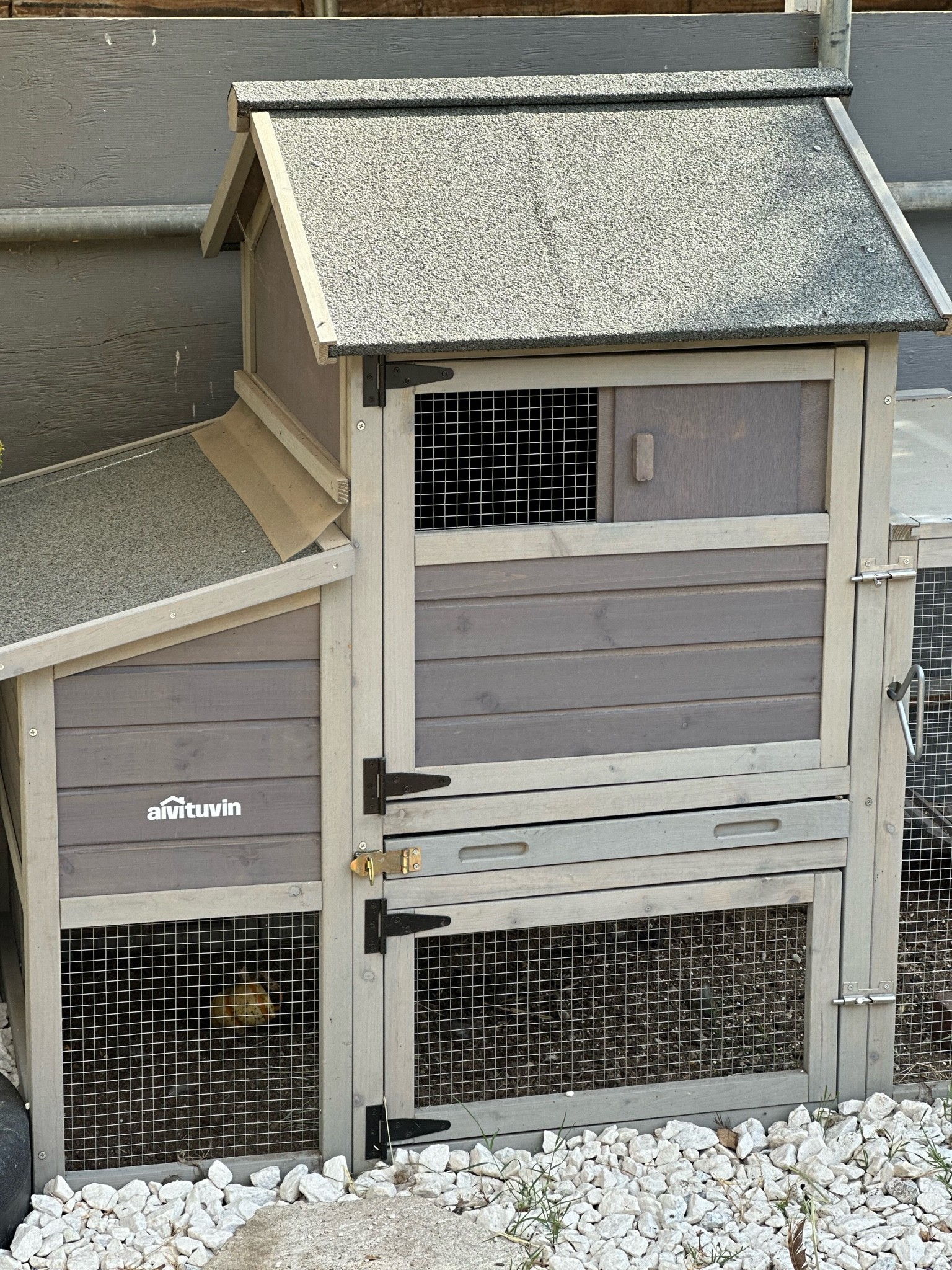 The cutest little chicken coop 

#LTKhome