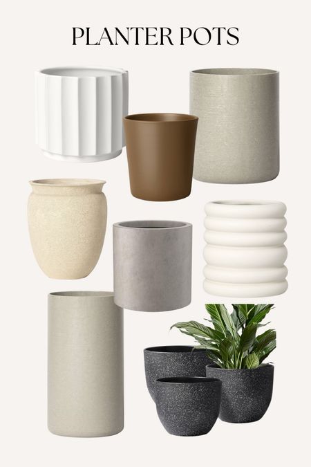 Planter Pots! 

#LTKhome #LTKSeasonal #LTKMostLoved