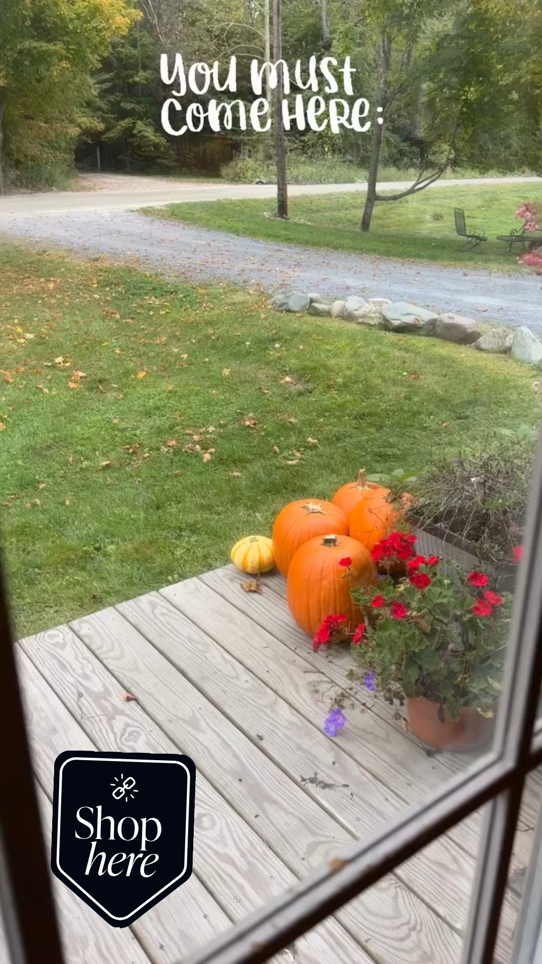 You must come here 🤣. But seriously, if you must… Book Your Stay today and experience the magic the Mad River Valley holds and is waiting to share with you. 

There’s something for everyone here. ✅Birding ✅ mountain biking ✅ hiking ✅ farmers markets ✅ shopping ✅ breweries ✅ foodie ✅ cheese ✅ apple cider donuts ✅ fall vibes ✅ farms ✅ horses ✅ art galleries ✅ Theatre productions ✅ winter sports ✅ summer activities ✅ swimming in the river ✅ barn sales ✅ antiquing ✅ chocolate ✅ covered bridges ✅ quintessential picture Vermont rural dirt road beauty 

See! Mad River Valley’s got you covered 🥰

Book Your Stay: www.historicvalleyview.com

#newengland #vermontbirders #newenglandcycling #cyclingislife #northroadcycles #shorttermrental #birdingtours #hikers

#travelmoments #sugarbush #madriverglen #airbnbvt #vermont #v #vermonttourism #skitheeast #vrbo #airbnb #mountains #shorttermrental #themadrivervalley #historicvalleyview