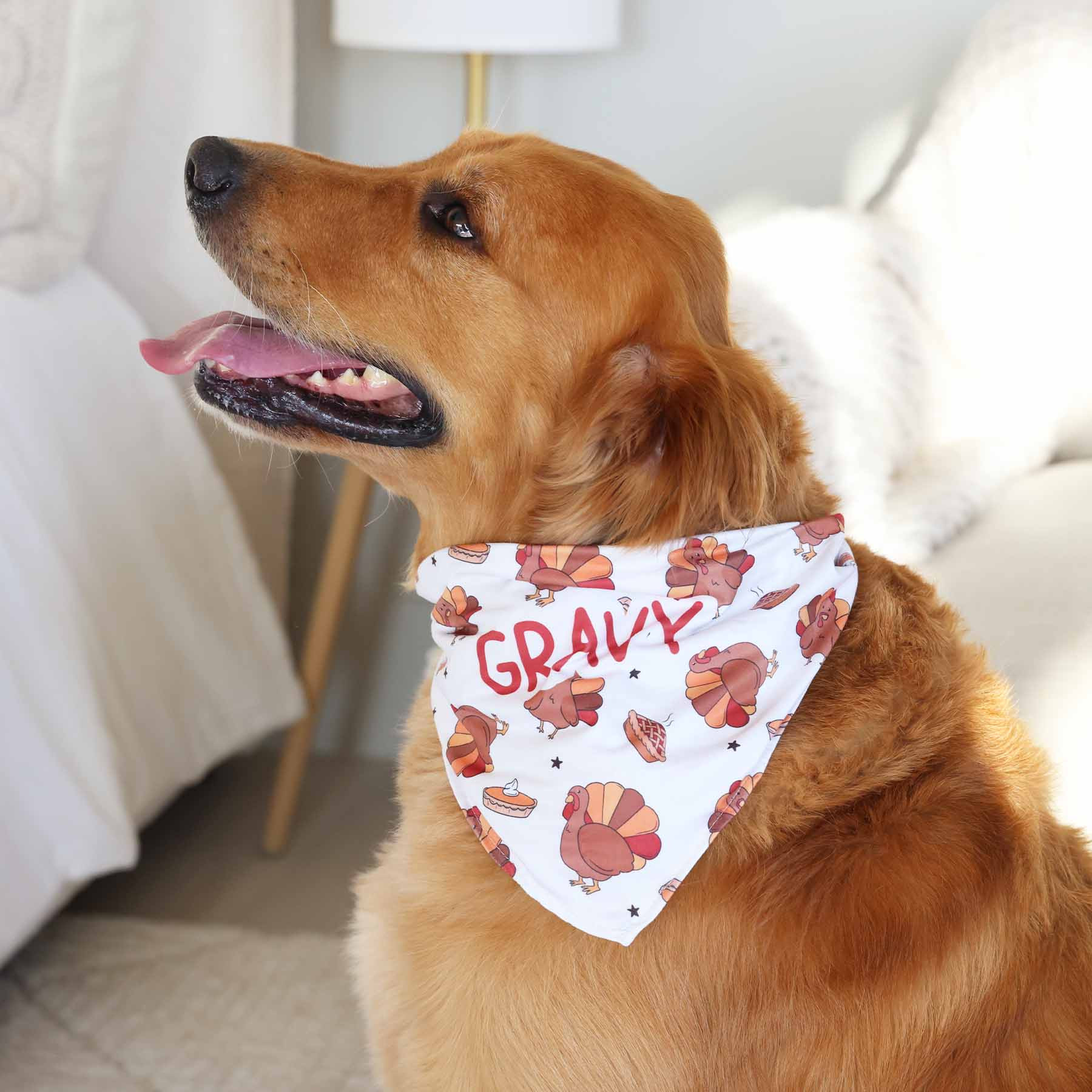 Turkey Treats Personalized Pet Bandana | Caden Lane