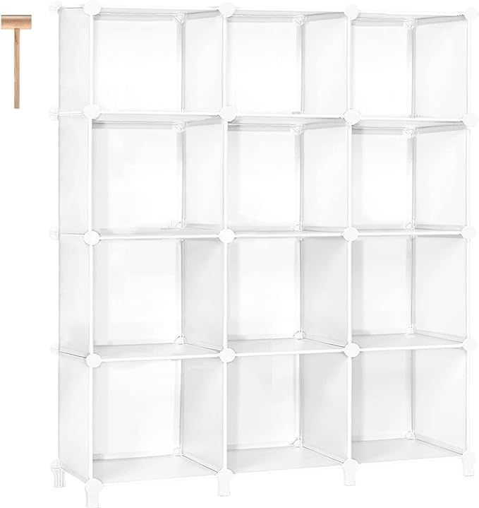 TomCare Cube Storage 12-Cube Bookshelf Closet Organizer Storage Shelves Shelf Cubes Organizer Pla... | Amazon (US)