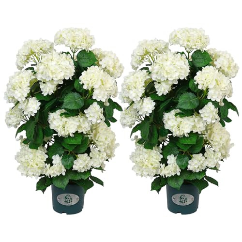 Faux Hydrangea Tree – 30 Inch Hydrangea Tree Artificial with White Flowers, UV Resistant Outdoor Hydrangea Artificial Plants in Pot for Indoor Outdoor Home Porch Decor (2 Pack) | Amazon (US)