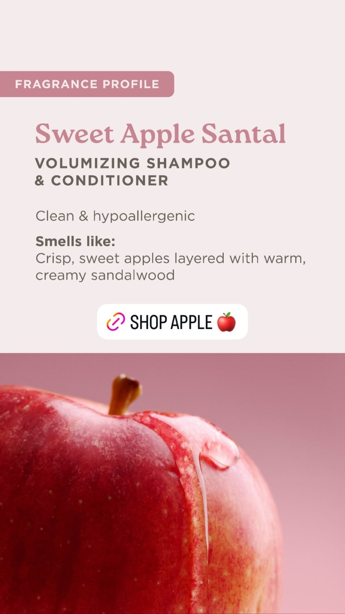 Shop Apple Santal

#LTKmomlife #LTKSeasonal #LTKdayinmylife