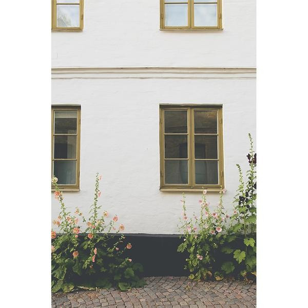 HOLLYHOCKS | Juniper Print Shop