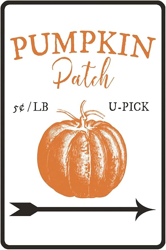 New Metal Sign Aluminum Sign Pumpkin Patch Sign Decor Easter Lover Fall Sign for Outdoor & Indoor... | Amazon (US)