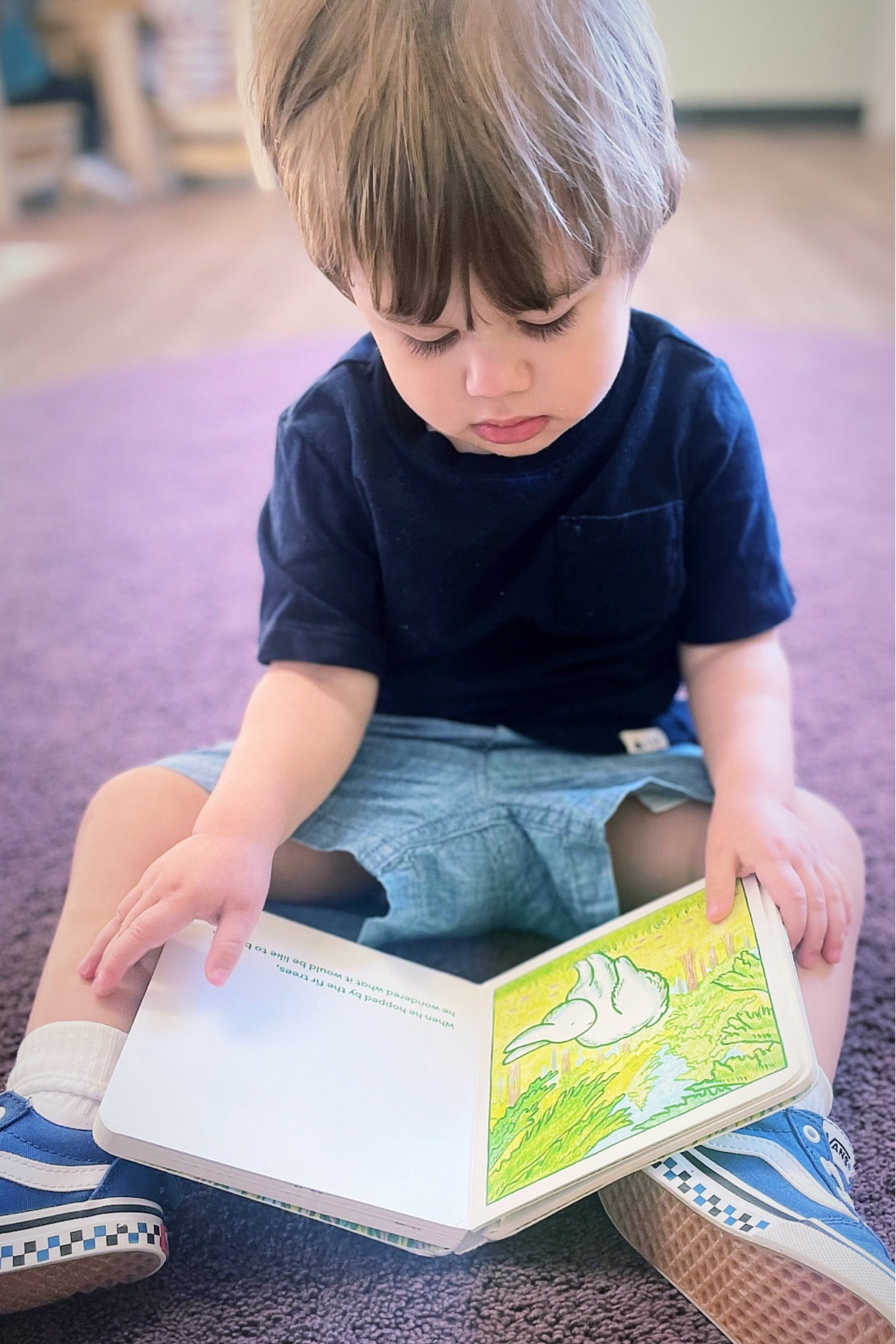 My little book worm 📖 🪱
P is wearing a navy tee shirt and chambray shorts from gap factory with blue vans from kids foot locker.

#LTKstyletip #LTKkids #LTKsalealert