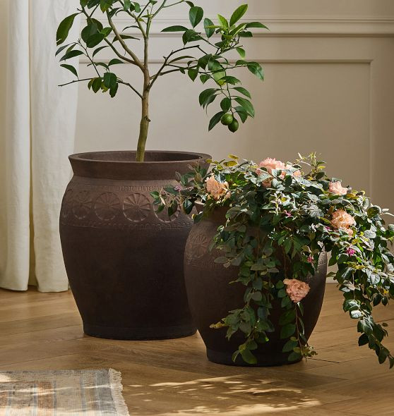 Antique Terracotta Planters | Rejuvenation