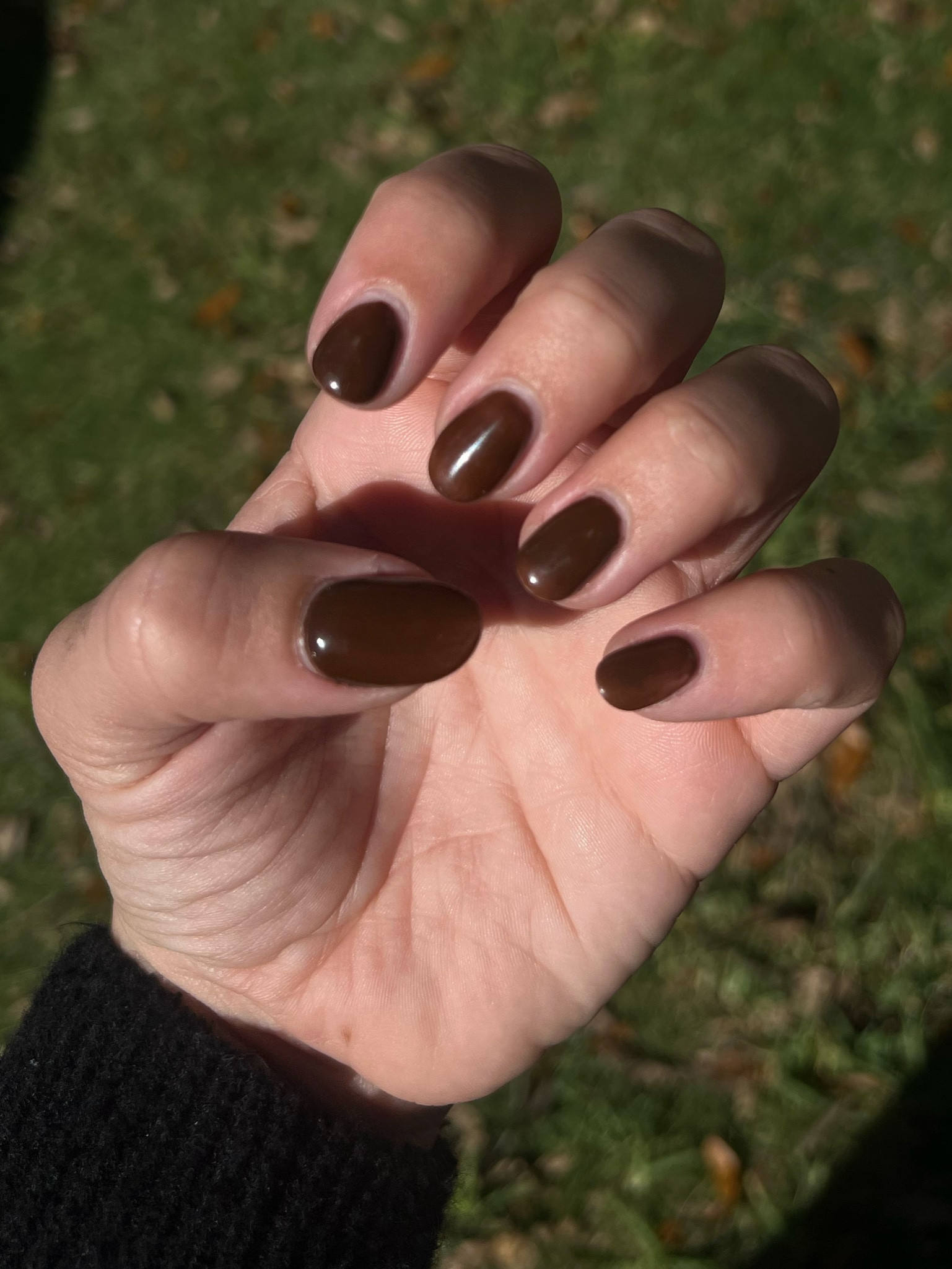 DND SPICED BROWN
FALL/WINTER NAILS 
NAIL INSPO 

#LTKSeasonal #LTKBeauty #LTKHoliday