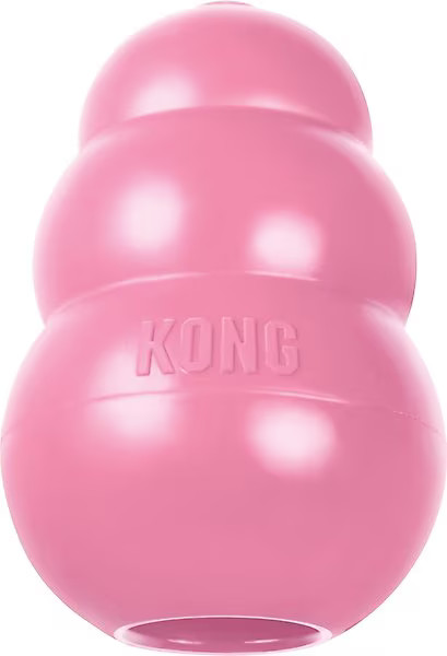 KONG Puppy Chew Dog Toy, Pink, Small - Chewy.com | Chewy.com