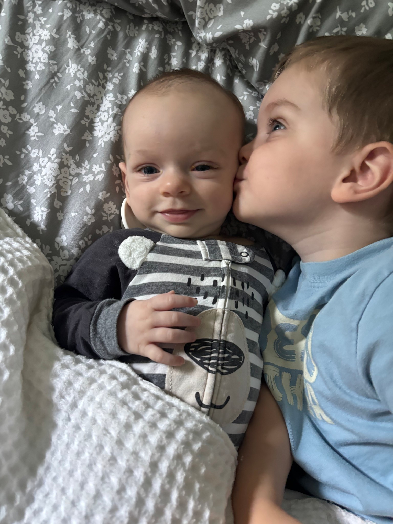 We have bed bugs!!!!