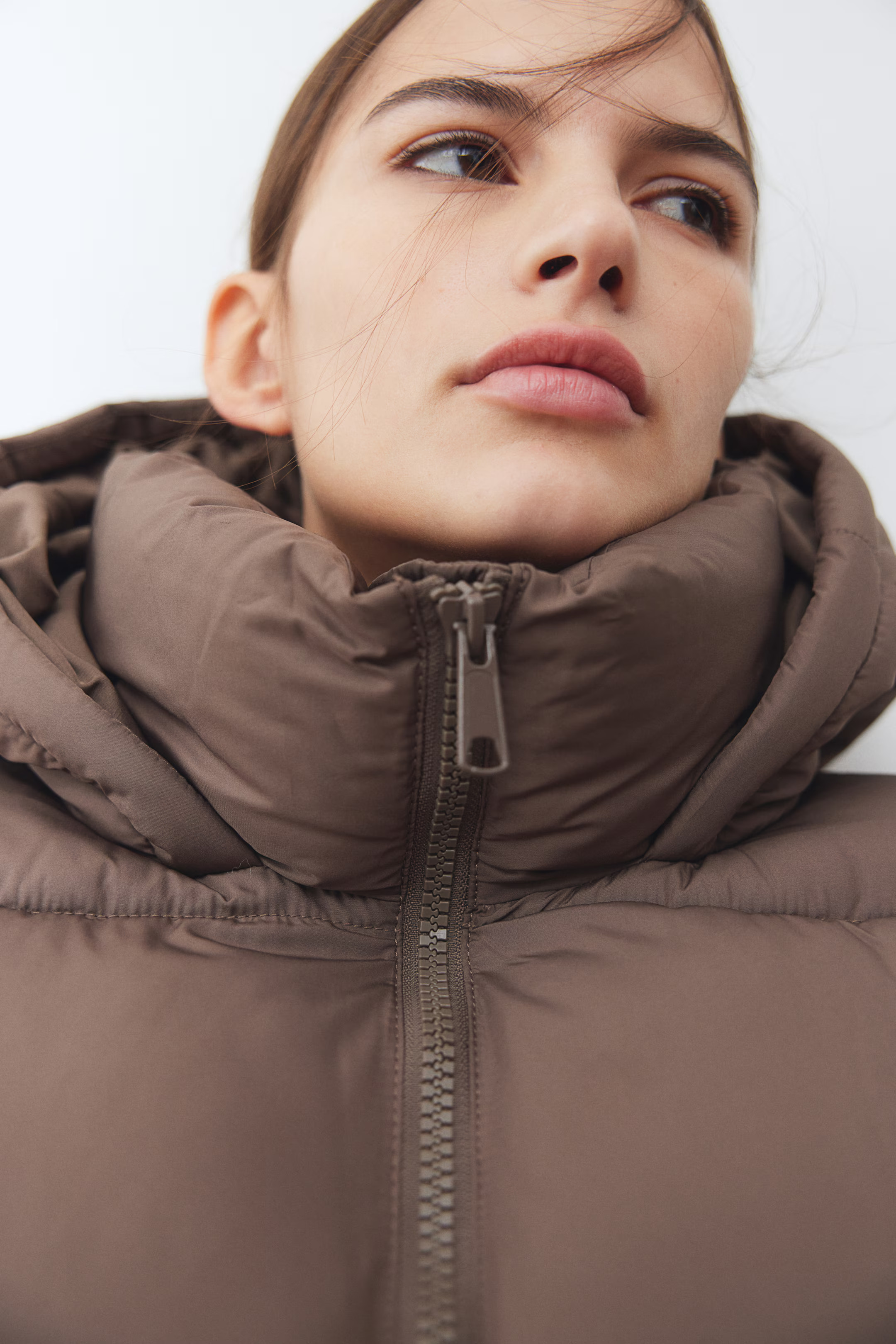 Hooded Puffer Jacket - Dark beige - Ladies | H&M US | H&M (US + CA)