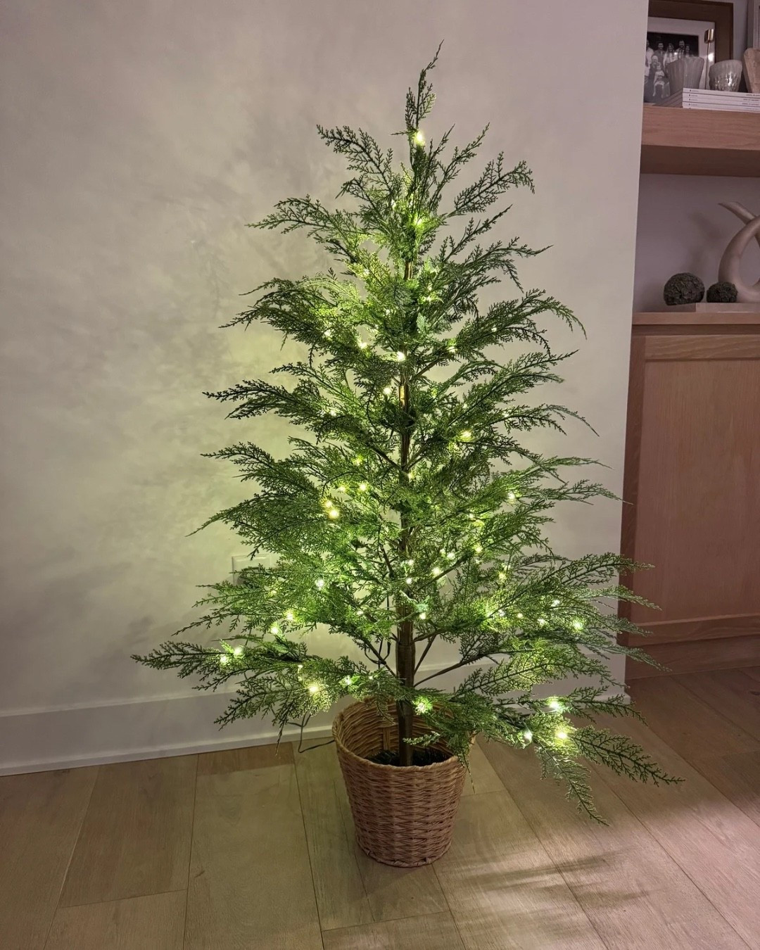 Twinkle light trees, LED lights, multiple sizes, My Texas House, Christmas tree, holiday decor, restock, Walmart decor

#LTKHome #LTKSeasonal