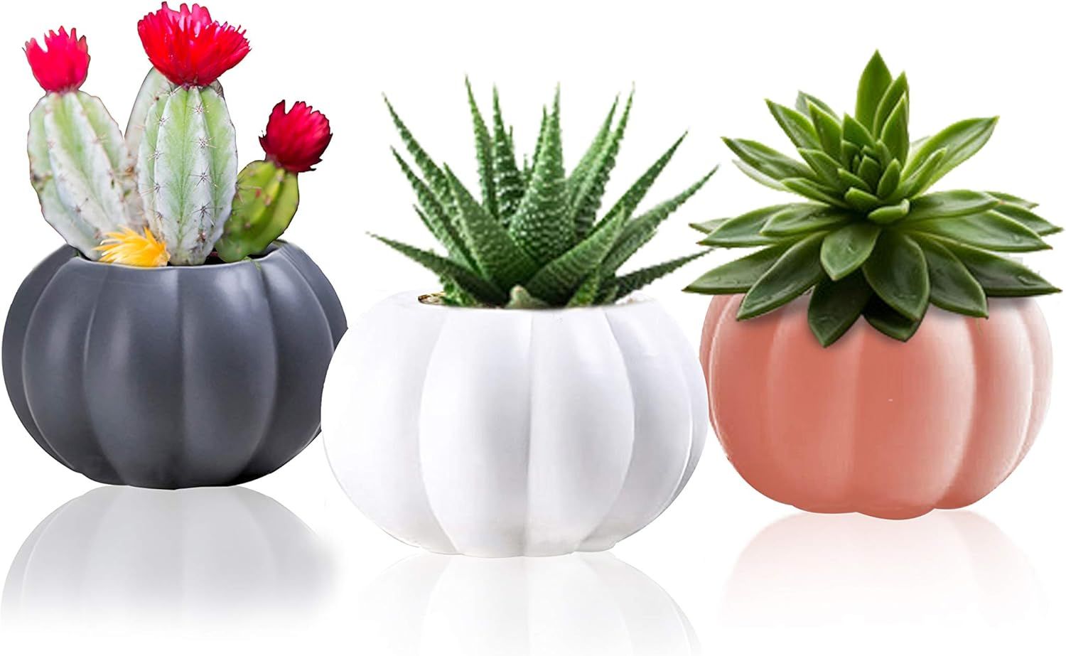 Ceramic Miniature Pumpkin Succulent Pots,Cute Halloween Decorations,Mini Pumpkin Cactus Planters,... | Amazon (US)