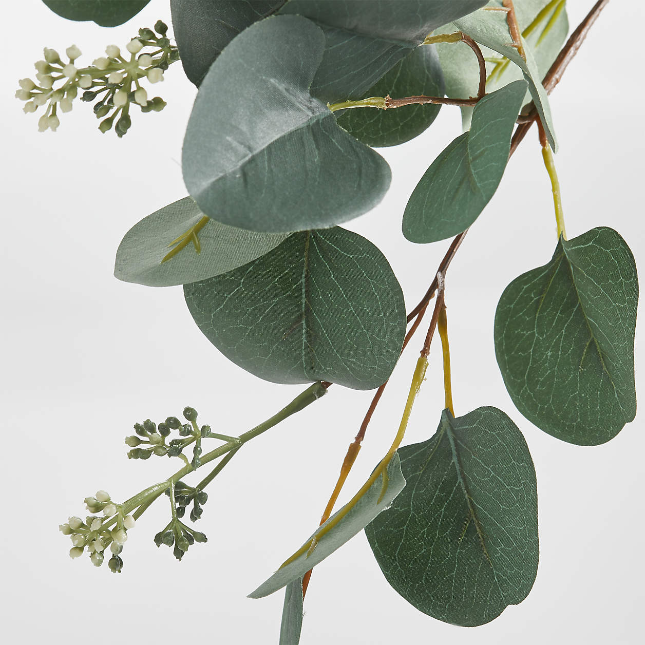 Small Faux Silver Dollar Eucalyptus Stem + Reviews | Crate & Barrel | Crate & Barrel