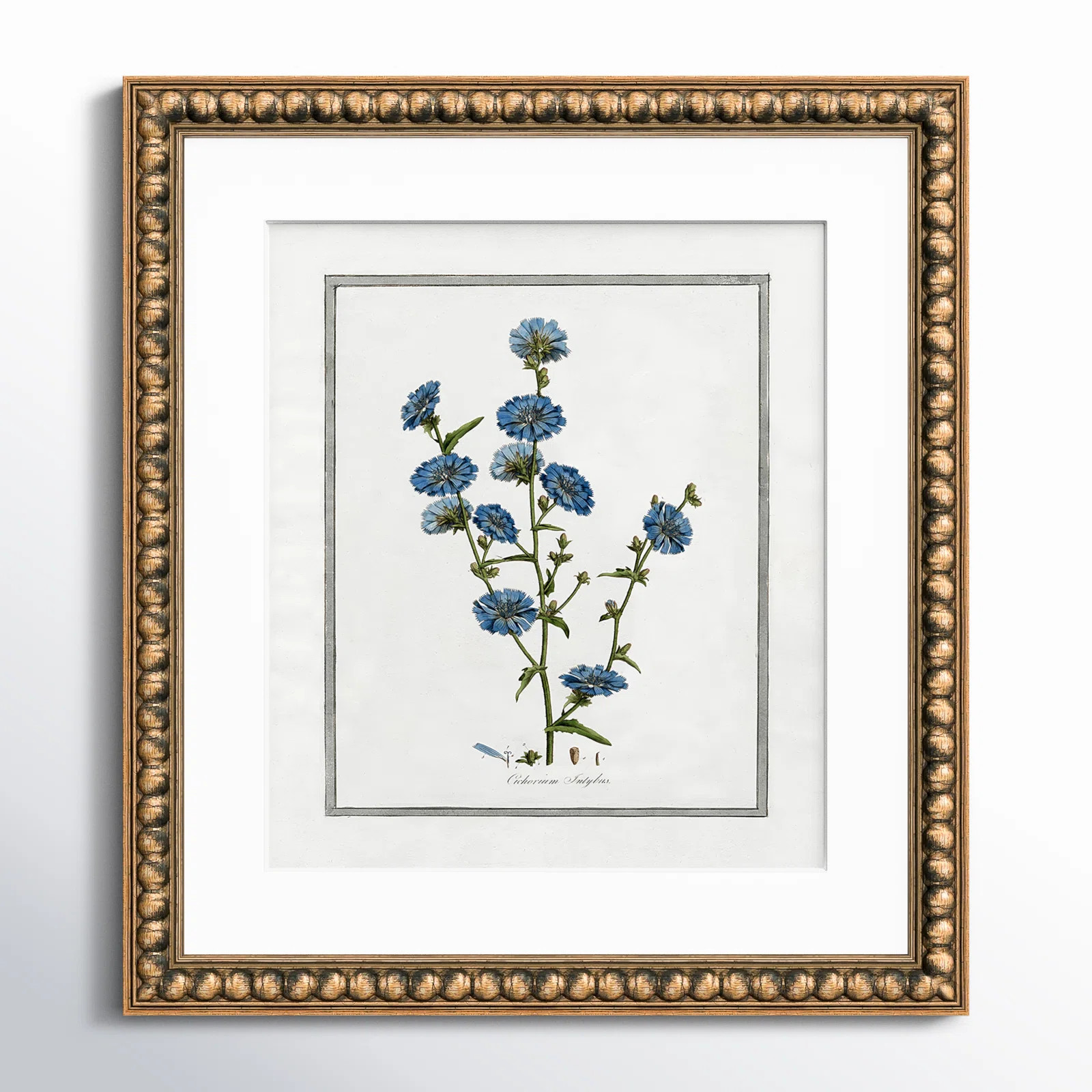 Soft Botanical I - Framed Art Full Bleed | Birch Lane