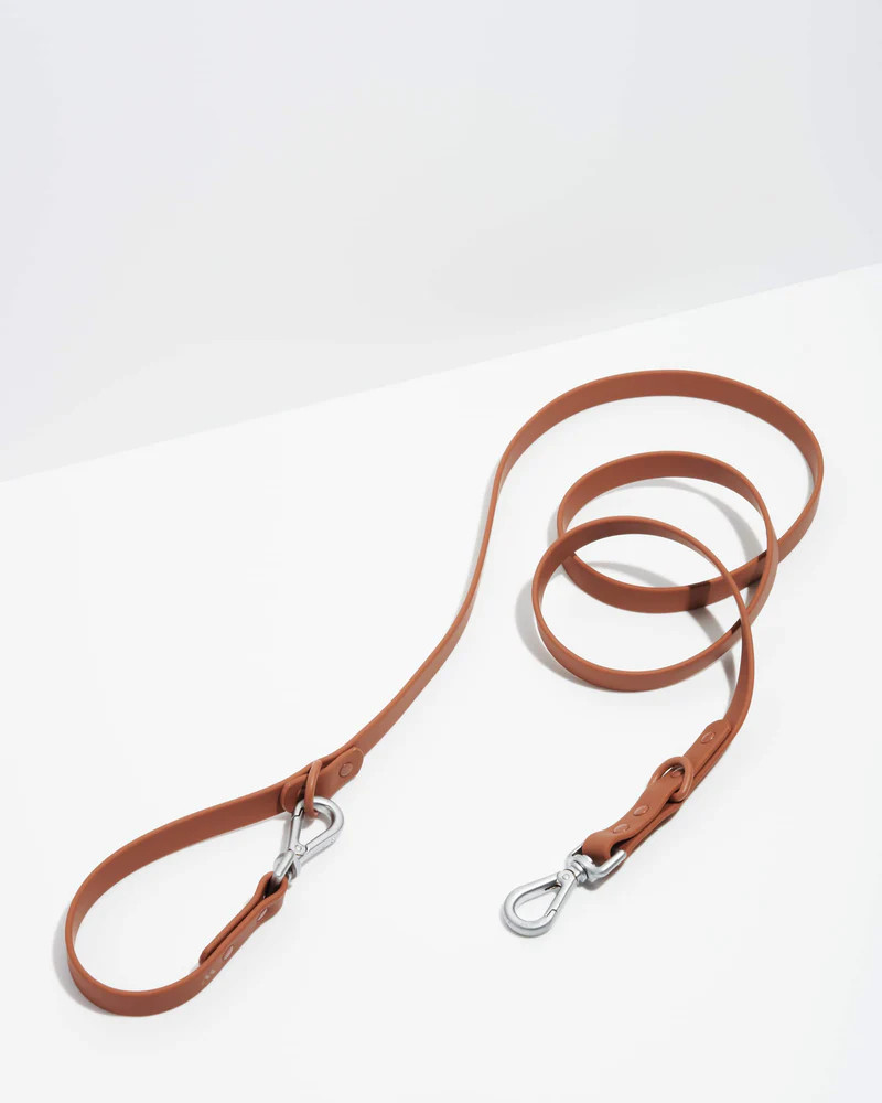 Leash | Wild One