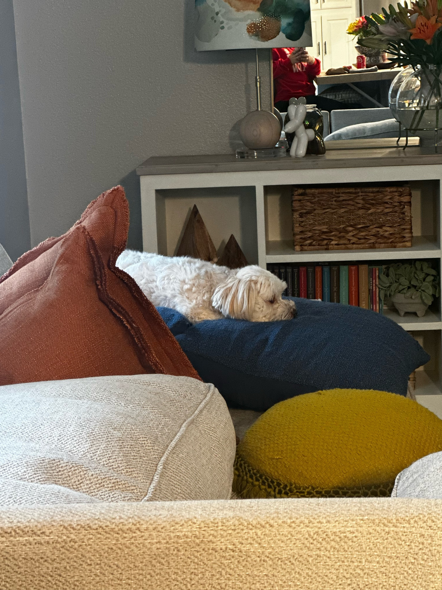 This is my beautiful granddog, Mia!  She helps make this crazy world a much more beautiful place!!!  Shop her favorite part of my living room - luxe linen pillows soft enough to build a fort!

#LTKhome #LTKfamily #LTKfindsunder100
