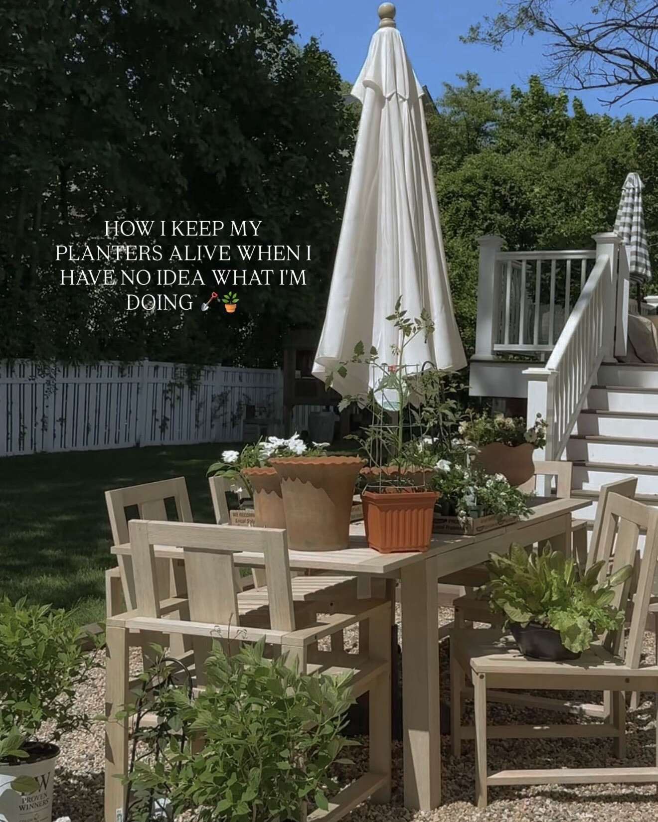 How I keep my outdoor planters alive (even without a green thumb) 🪴🪏

I love the look of full, beautiful planters… but I’ve never naturally been “good” with plants. So instead of guessing, I started using ChatGPT like my personal garden helper.

Here’s exactly how I do it:
+ i send a photo of my space so it understands the light (full sun, partial shade, etc.)
+ i send photos of my planters so it knows the size + scale
+ at the nursery, I take pictures of the flowers I’m drawn to and ask if they’ll actually work
+ after planting, I check back in if anything starts looking off

The exact prompts I use:
• “Is this plant good for a planter in full sun?”
• “How often should I be watering this?”
• “Why are the leaves turning yellow / drooping?”
• “Should I move this to more or less sun?”
• “Is this overwatered or underwatered?”
• “What plants pair well together in this size planter?”
• “How do I make this look fuller?”
• “What should I do to revive this?”

It takes all the guesswork out and makes plants feel way more doable.

If you’ve ever stood in a nursery not knowing what to buy… save this for later + send to a friend who needs this 🤍

#planterideas #containergardening #outdoorliving gardentips