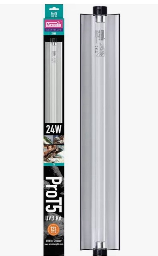 If you have a bearded dragon, this is the correct type of UVB light they need. If you are currently using a coil UVB bulb, you will discontinue using that and use this instead. You will pair this strip UVB with a clear reptile heat light. They both need to be on the same side of the tank. UVB needs to be distanced accurately. Adult bearded dragons need a temperature gradient in the basking area 99 to 104 and a baby needs temperatures in 104 to 109. You need a digital thermometer and you also need a temp guide to accurately determine the temperature. I love the Arcadia Linear UVB 12% it’s very good quality. Note: just know the bulb is good for 12 months and then you need to change the bulb. The UVB is not indefinite so that’s why you need to change those folks every 12 months.


#pets #reptiles #beardeddragons #lizards #uvblight #reptilelight #beardeddragon #beardies #uvbbar 

#LTKPets 

#LTKSaleAlert #LTKHome #LTKmomlife