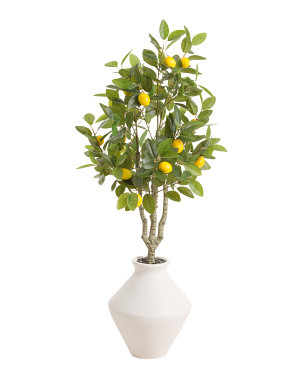 48in Lemon Tree In Magnesium Oxide Pot | Plants & Planters | Marshalls | Marshalls