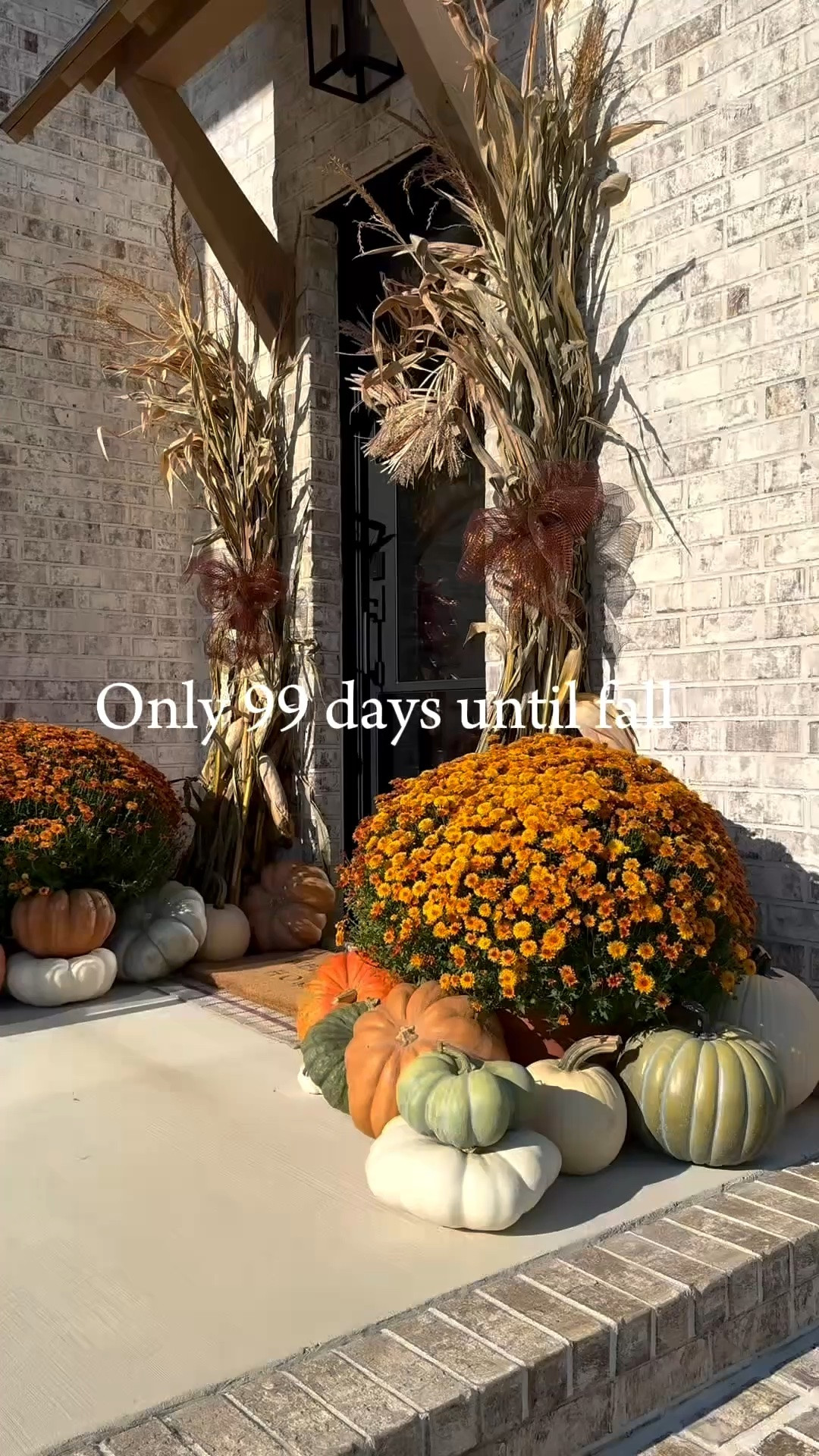 Planning early for fall!! 🍂🎃