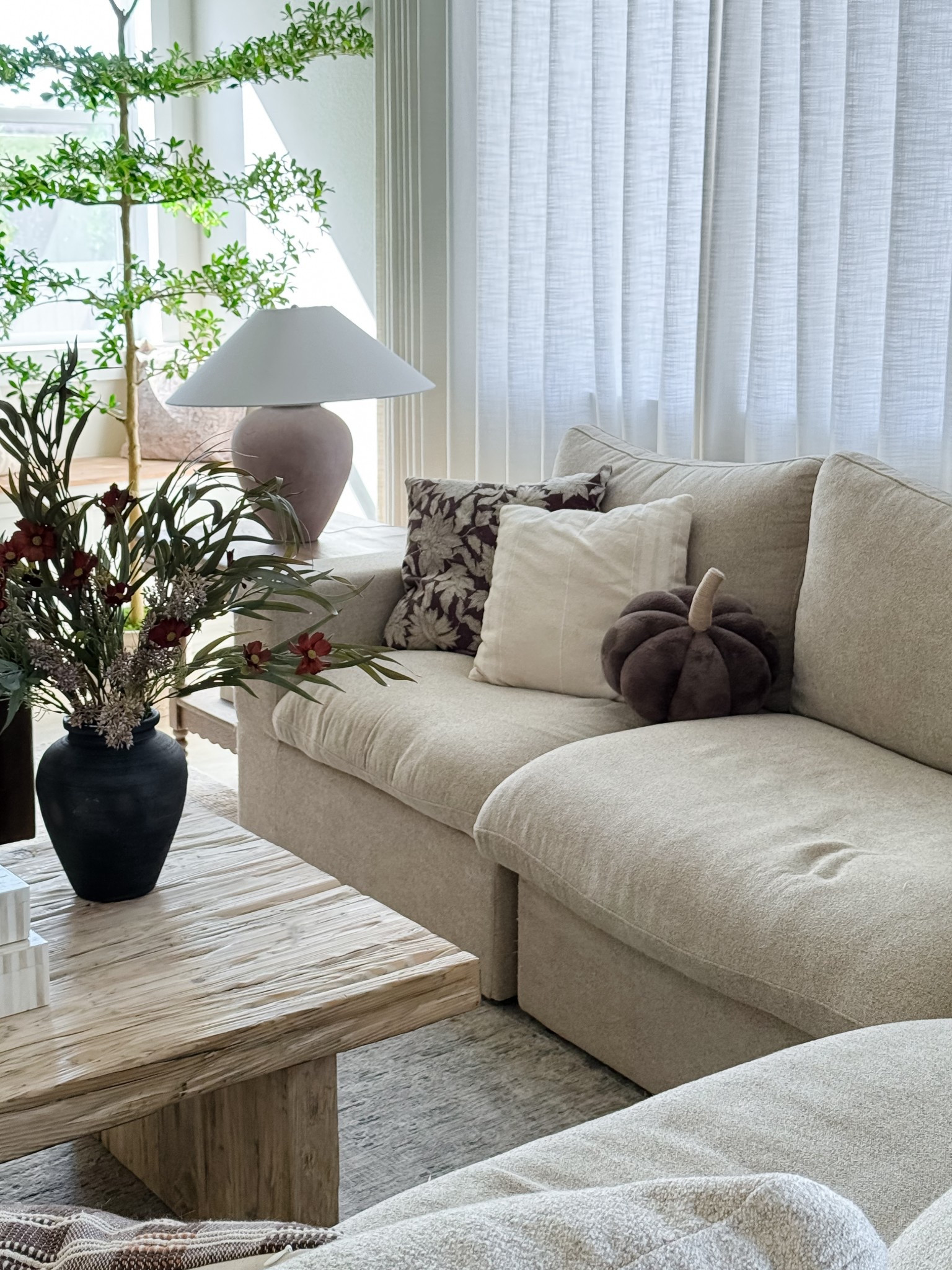 cozy fall decor in the living room 

#LTKSeasonal #LTKHome #LTKFallSale