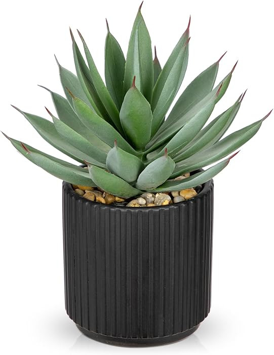 Briful Succulents Plants Artificial for Home Decor, Realistic Potted Fake Agave Plant, Black Cera... | Amazon (US)